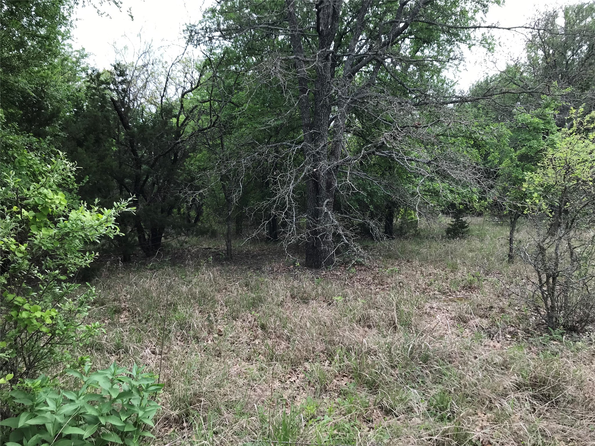 31037 Doe Run Court Whitney TX 76692