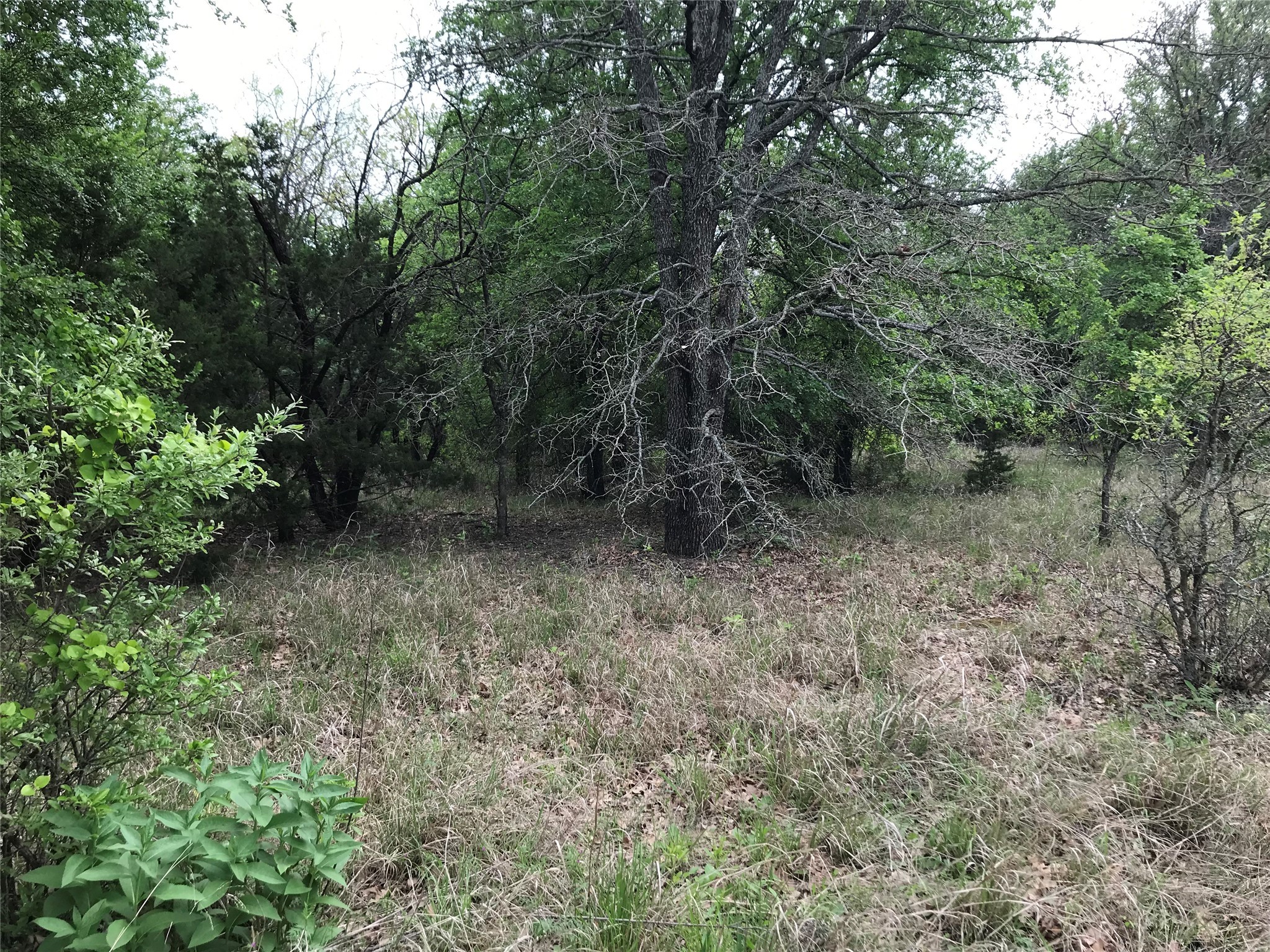 31037 Doe Run Court Whitney TX 76692