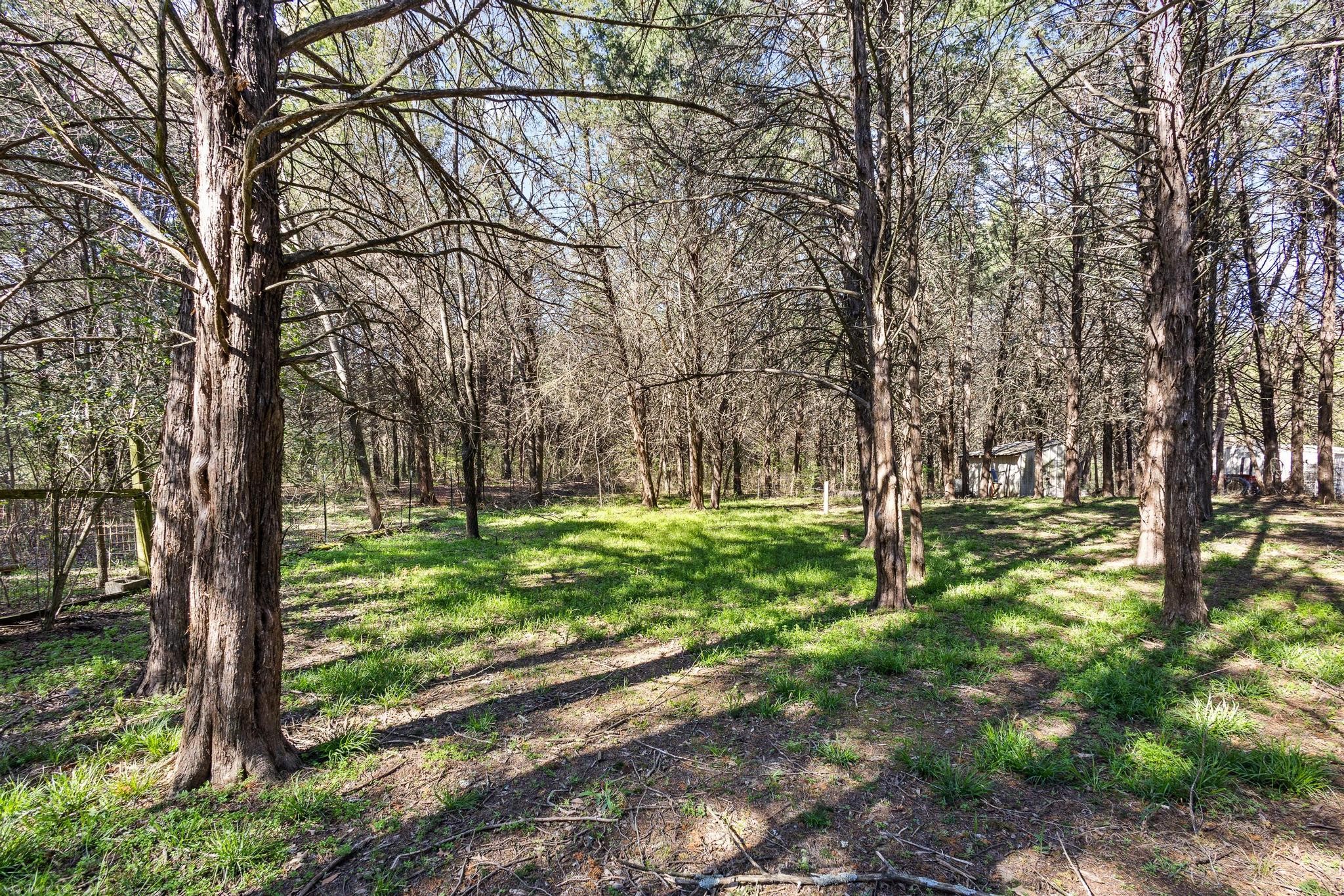 528 County Road 1120 Ravenna TX 75476