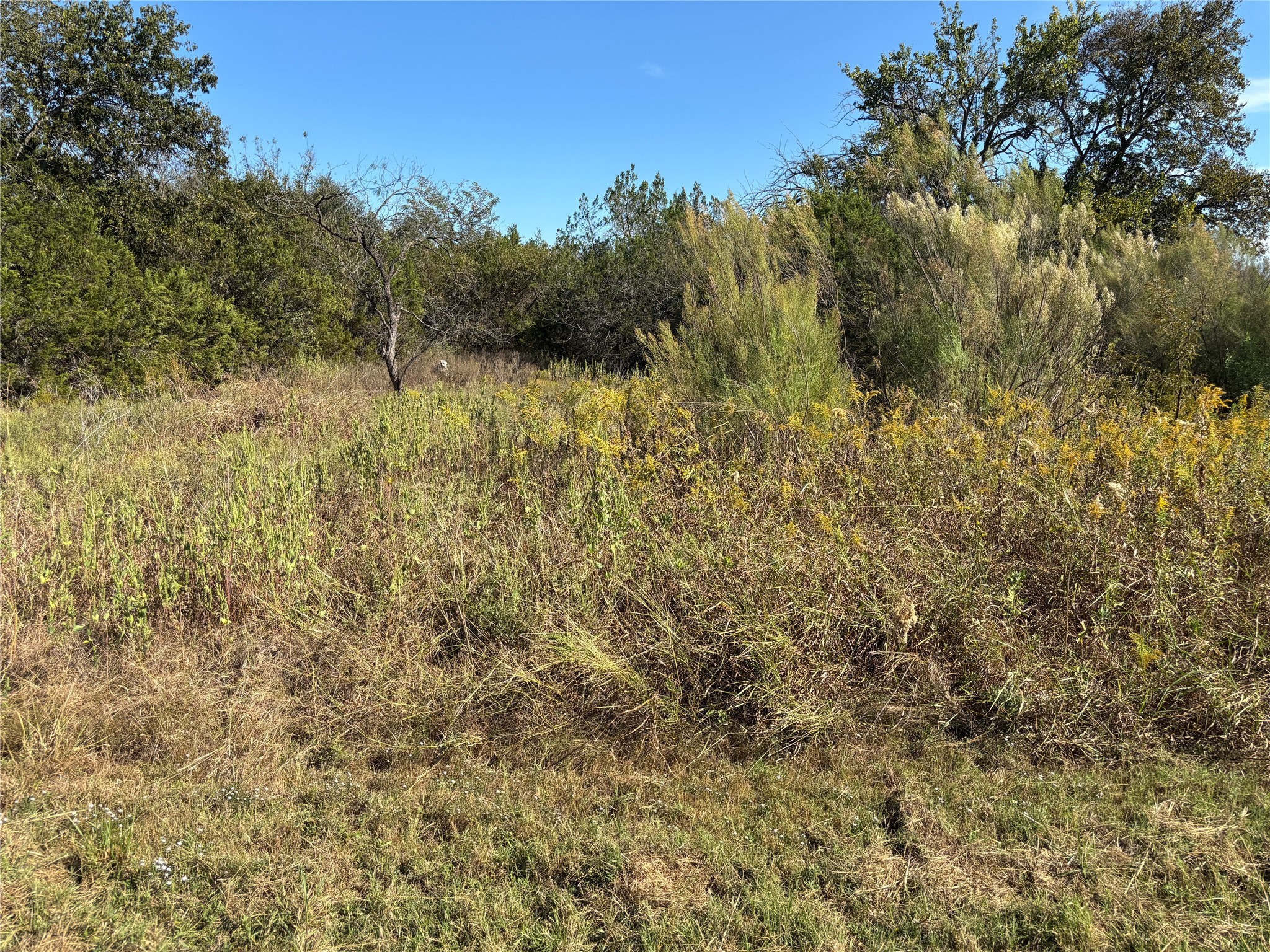 38128 Brookside Drive Whitney TX 76692