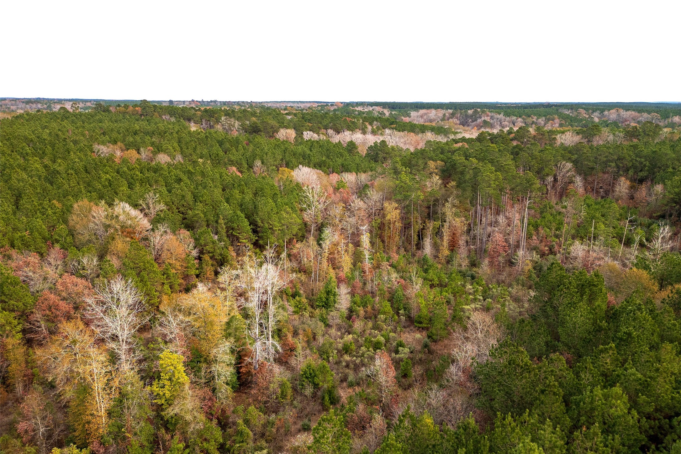 00 County Road 1247 Center TX 75935