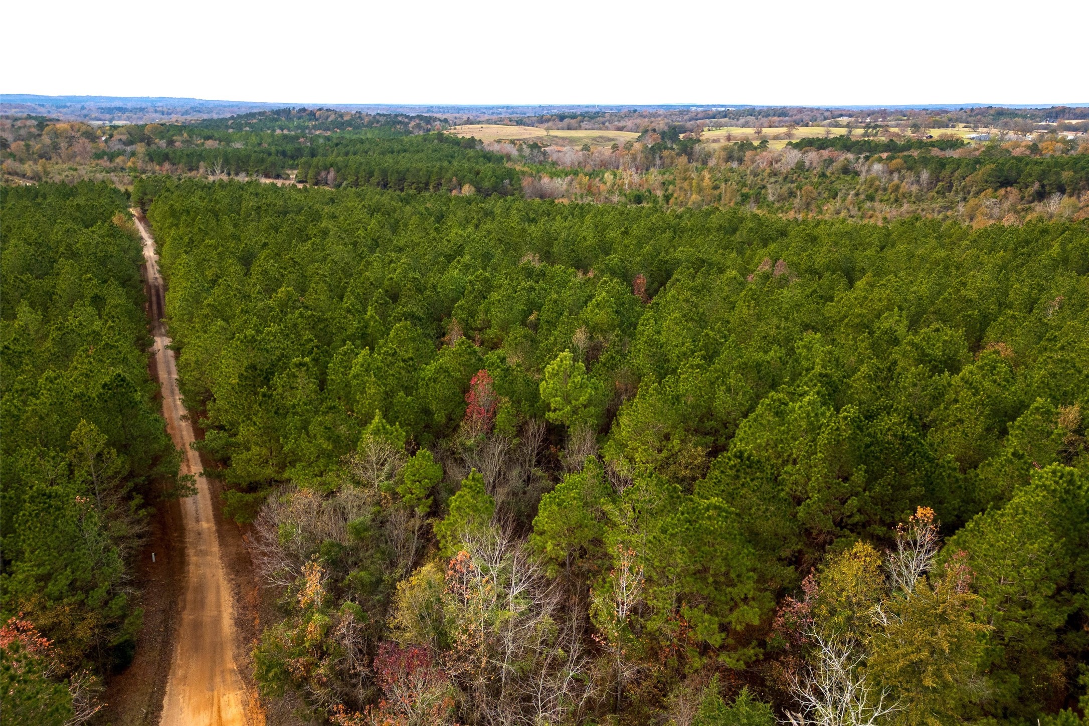 00 County Road 1247 Center TX 75935