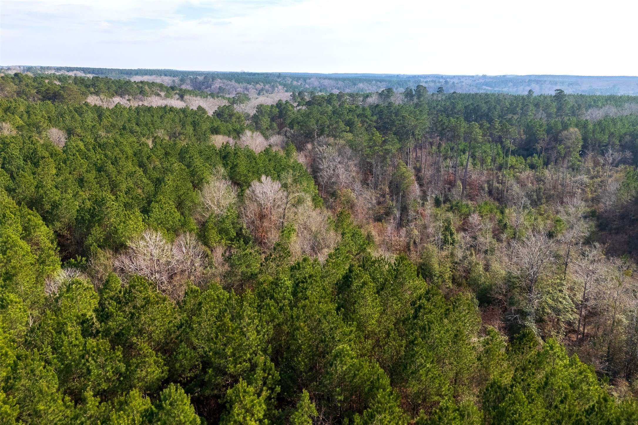 00 County Road 1247 Center TX 75935