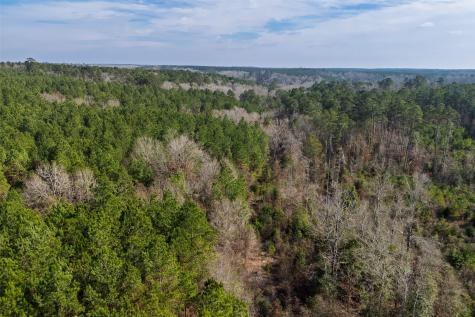 00 County Road 1247 Center TX 75935