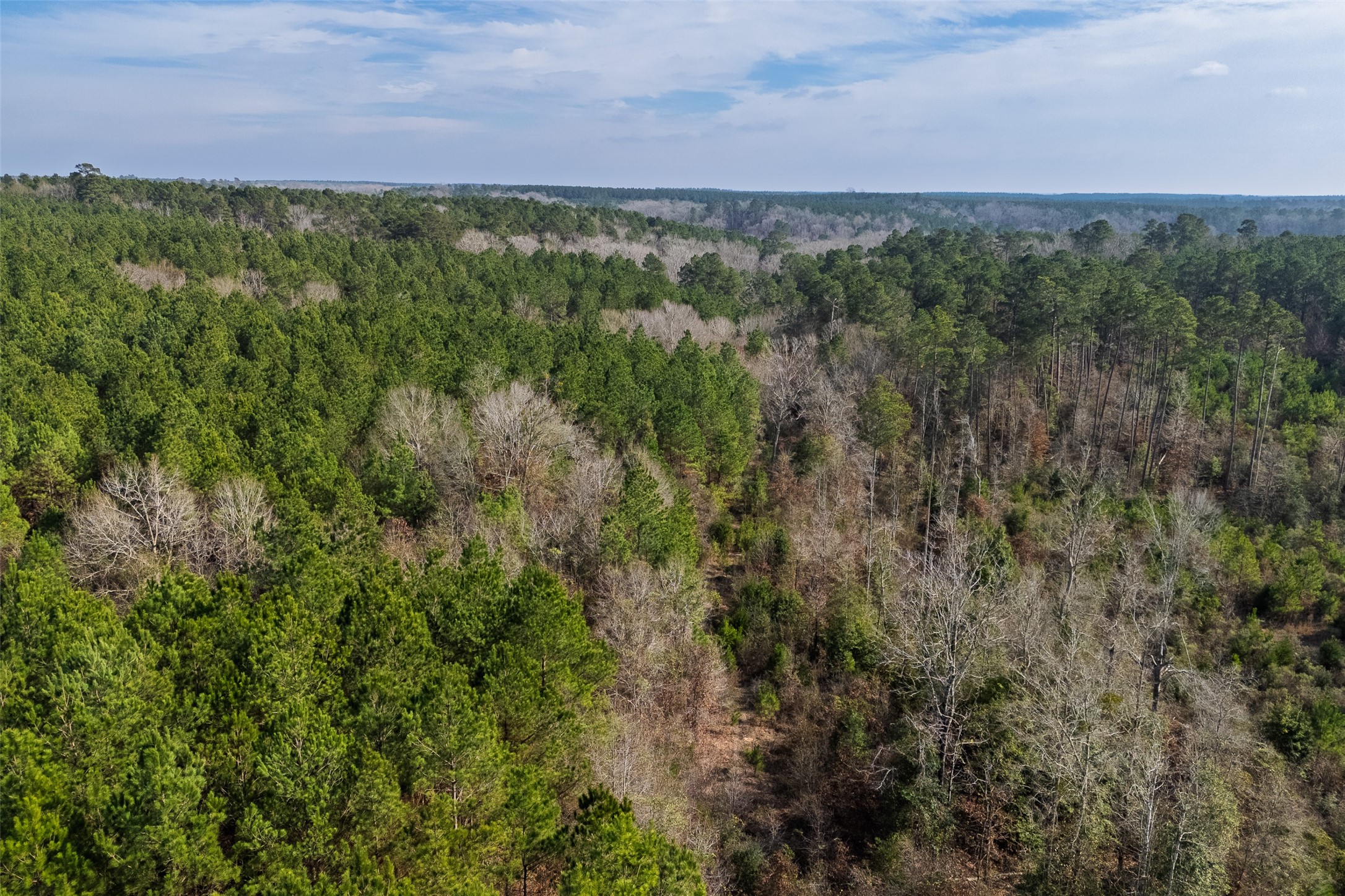 00 County Road 1247 Center TX 75935