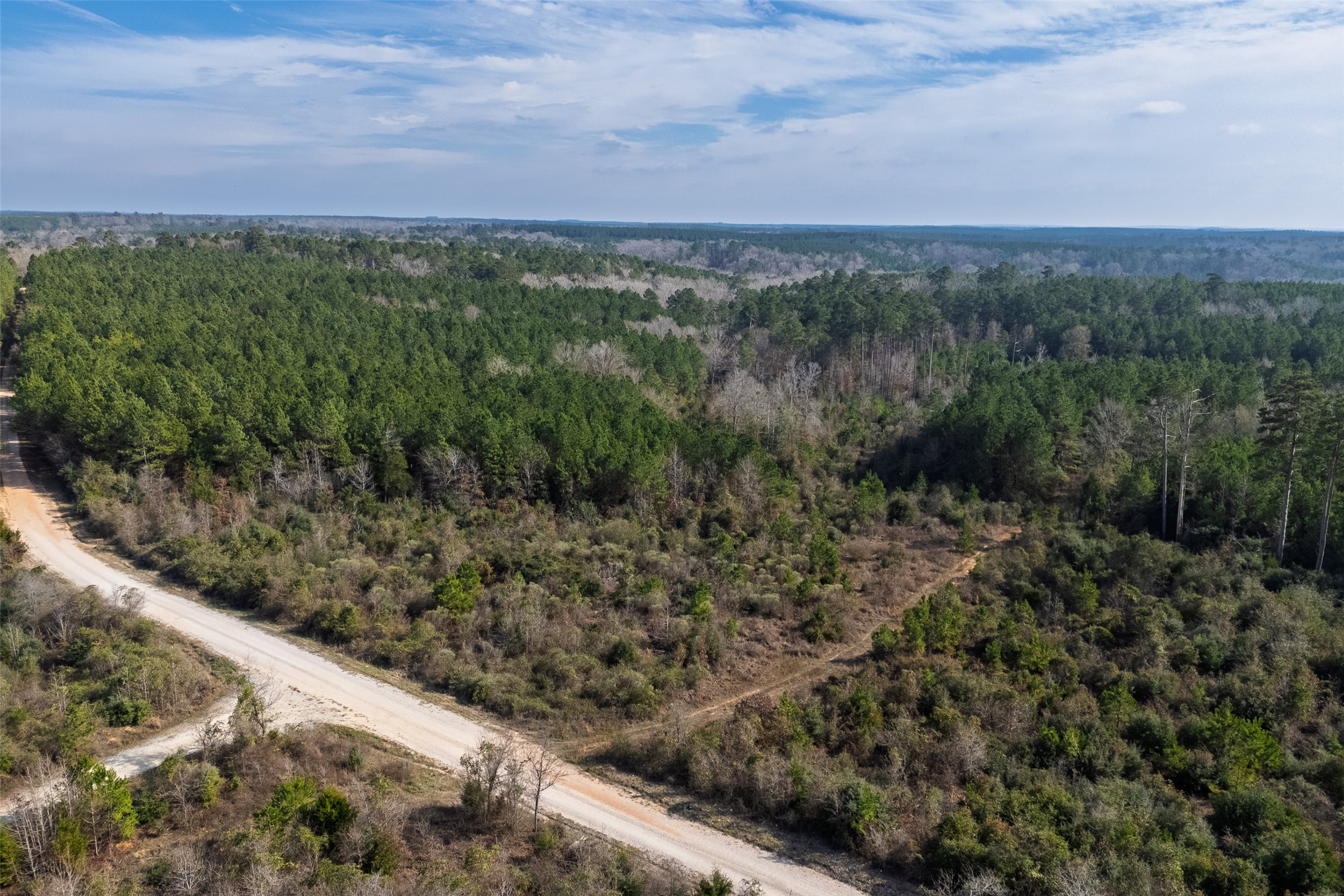 00 County Road 1247 Center TX 75935