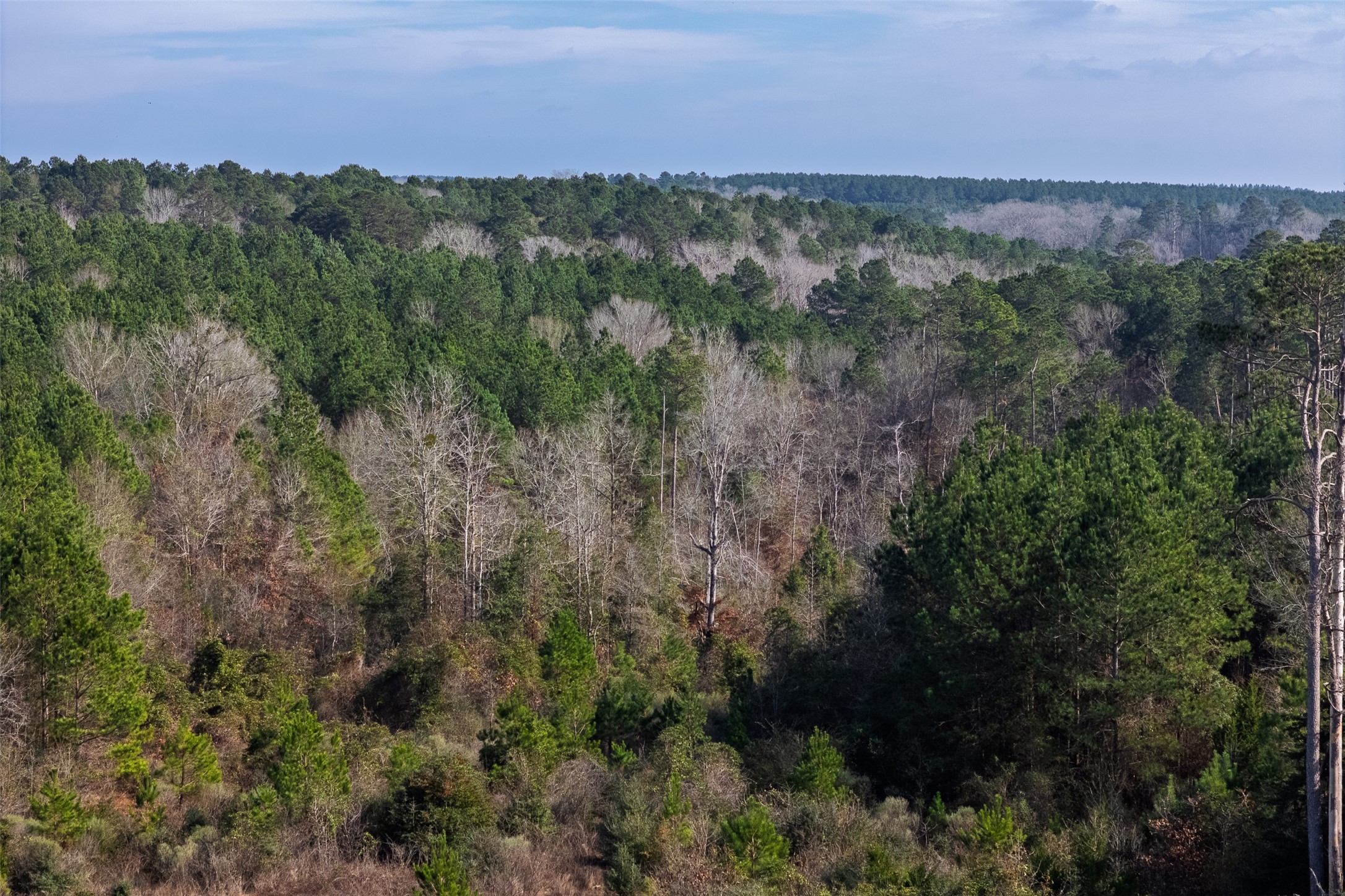 00 County Road 1247 Center TX 75935