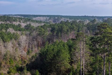 00 County Road 1247 Center TX 75935