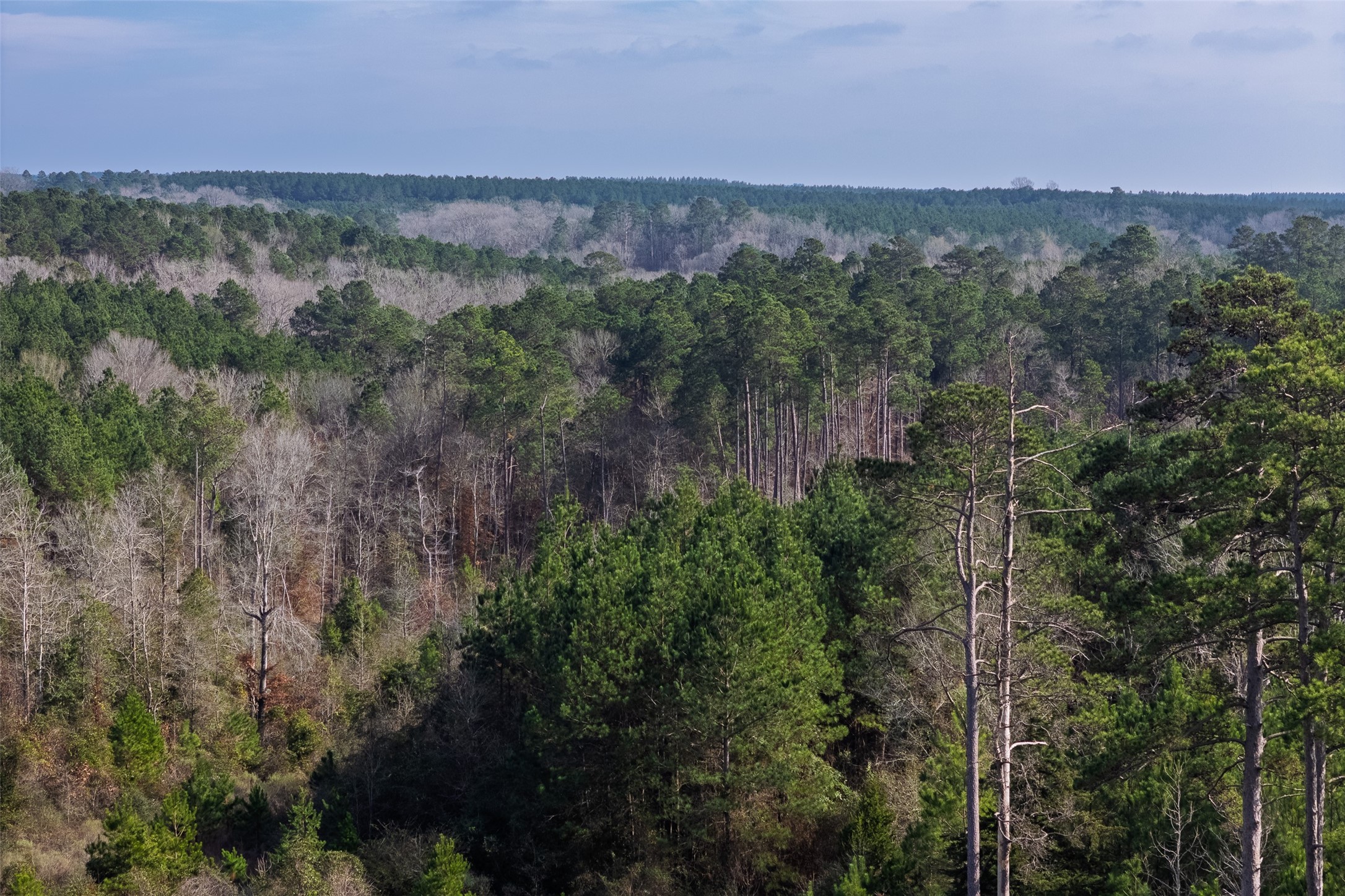 00 County Road 1247 Center TX 75935