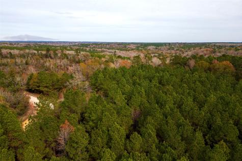 00 County Road 1247 Center TX 75935