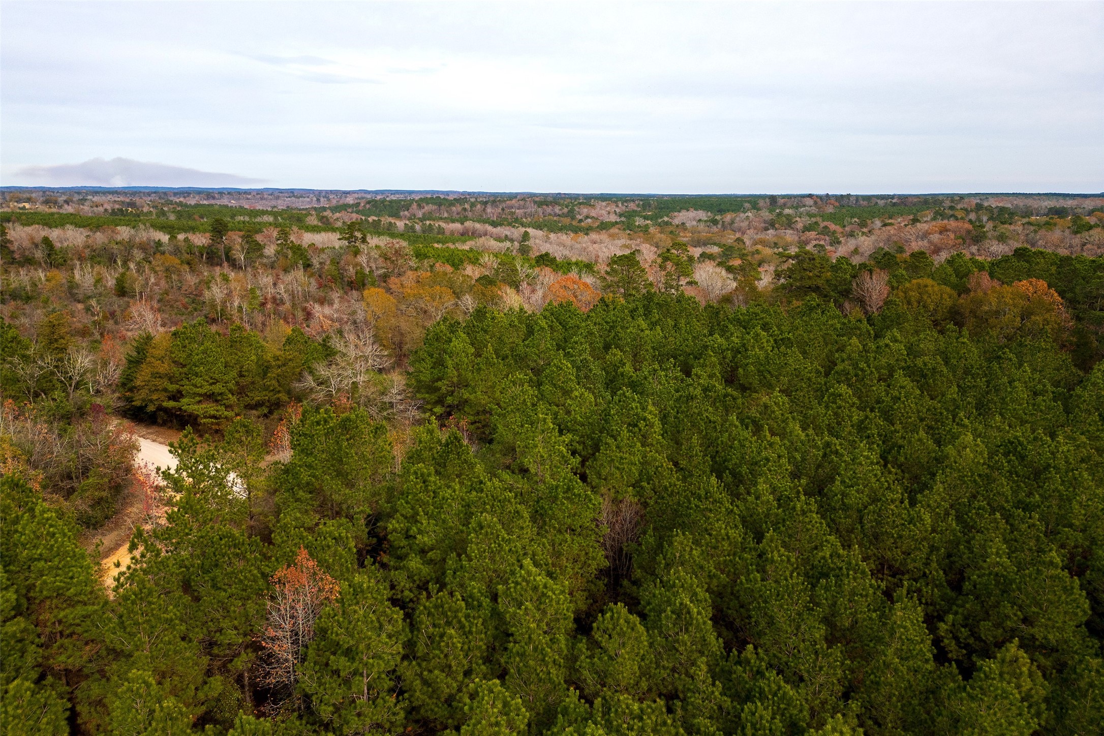00 County Road 1247 Center TX 75935