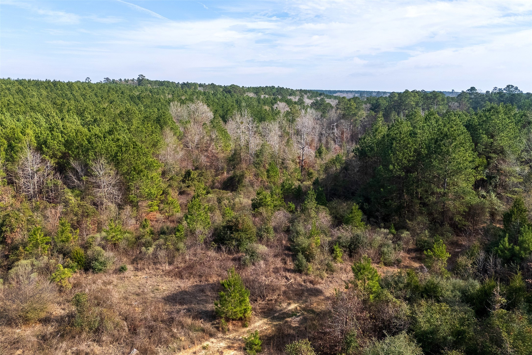 00 County Road 1247 Center TX 75935