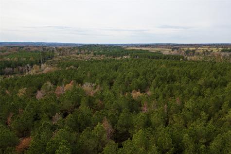 00 County Road 1247 Center TX 75935