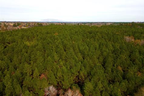 00 County Road 1247 Center TX 75935