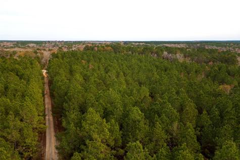 00 County Road 1247 Center TX 75935