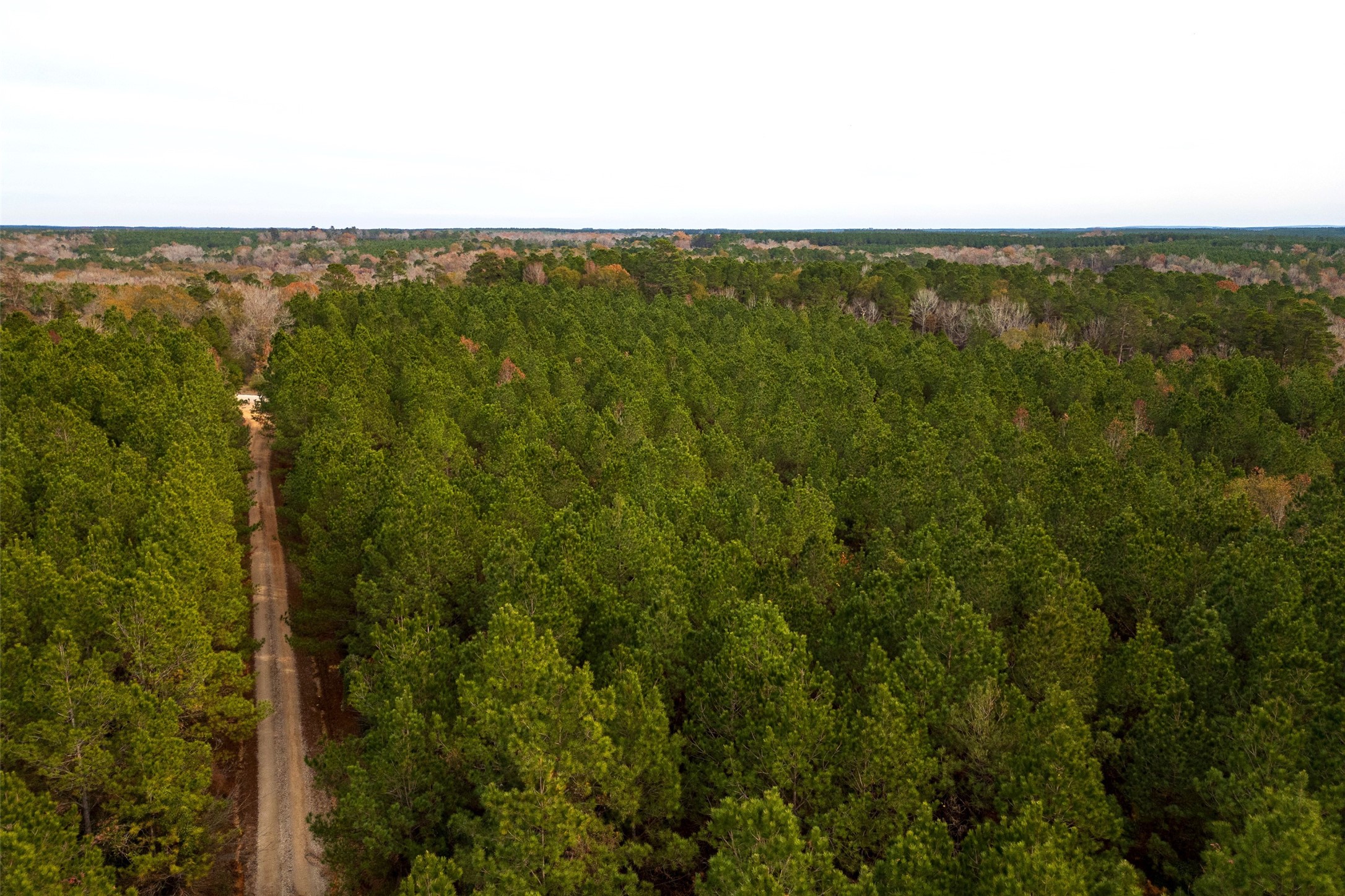 00 County Road 1247 Center TX 75935