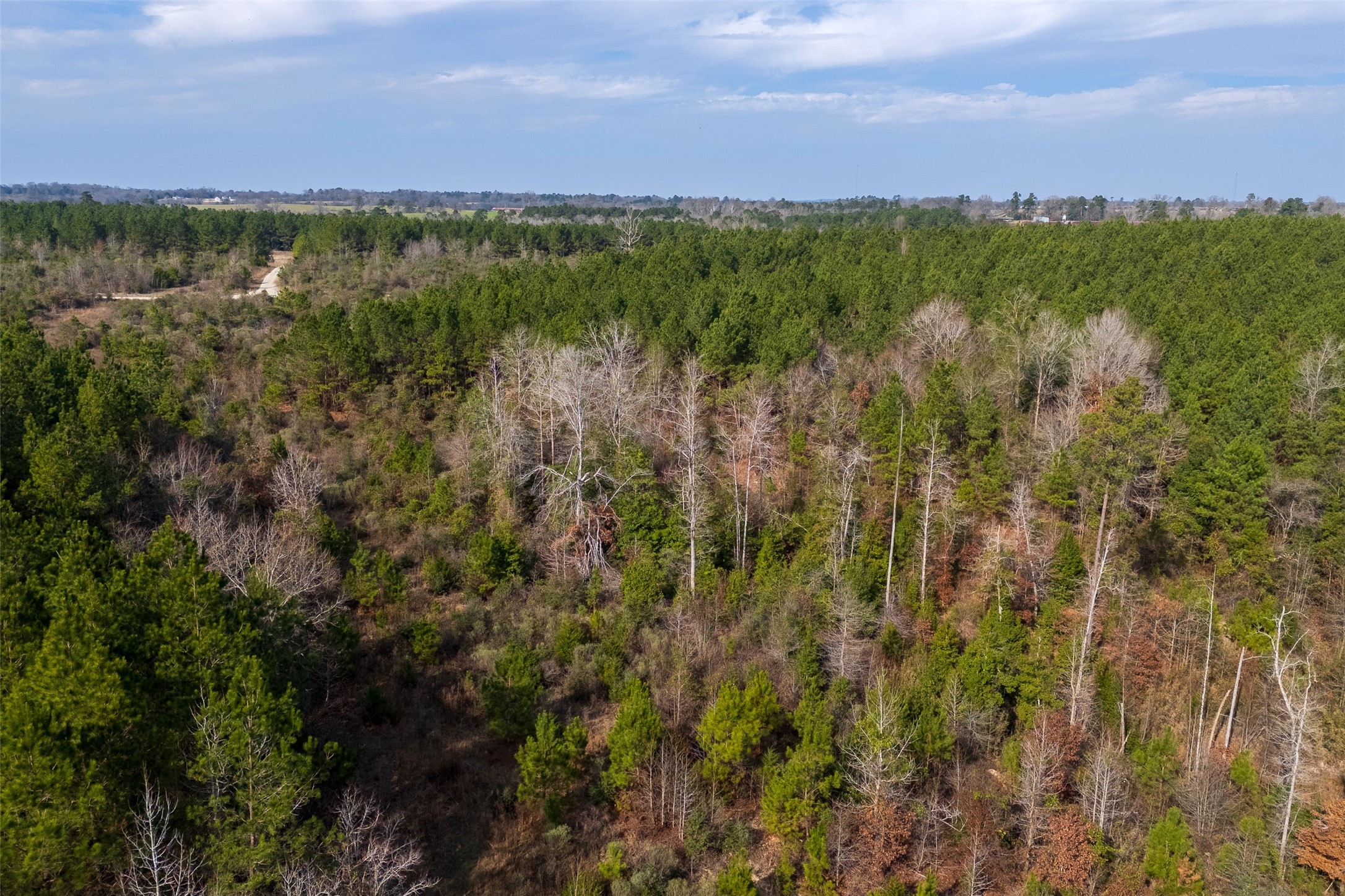 00 County Road 1247 Center TX 75935