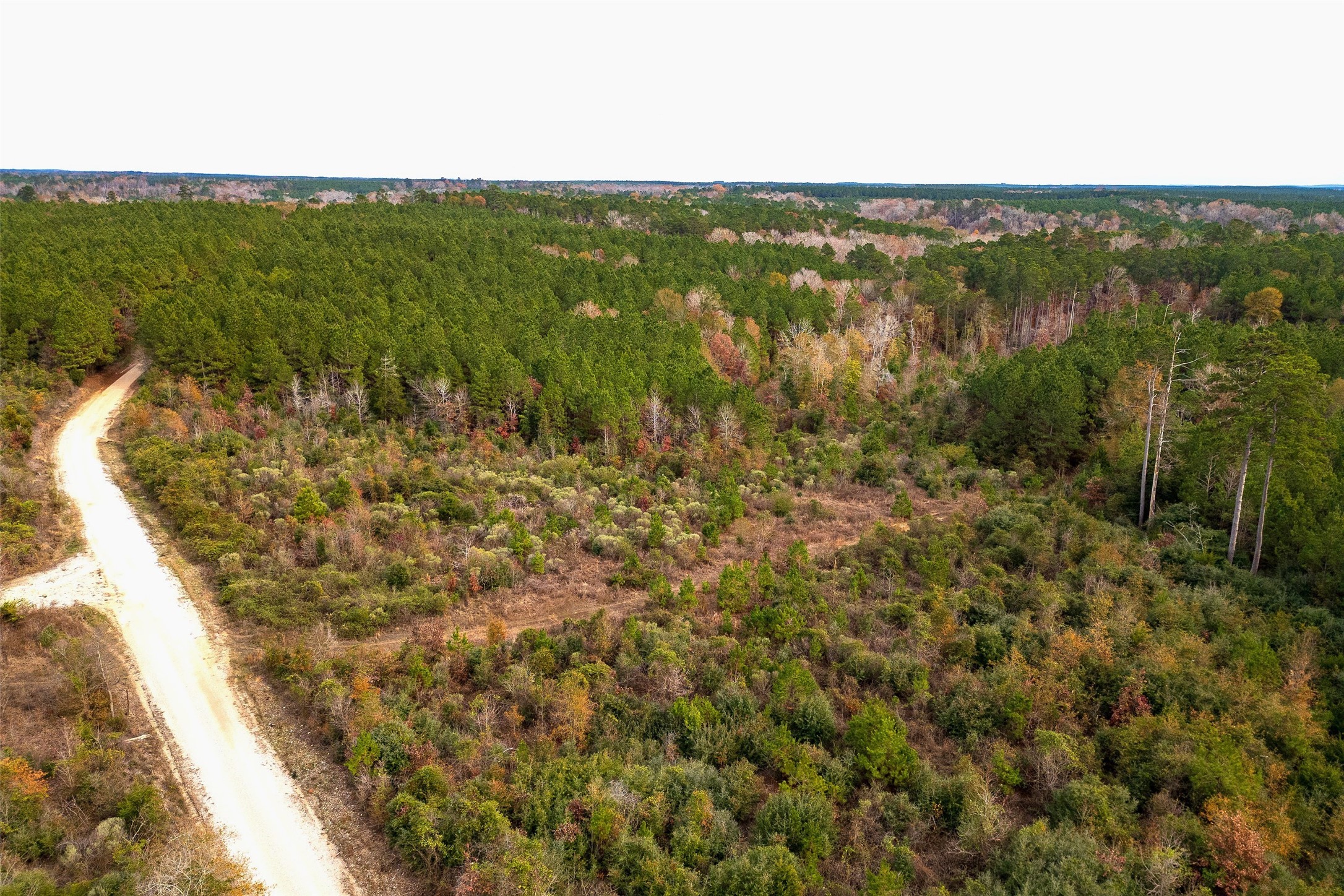 00 County Road 1247 Center TX 75935
