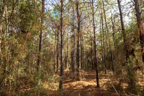 00 County Road 1247 Center TX 75935
