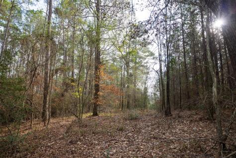 00 County Road 1247 Center TX 75935