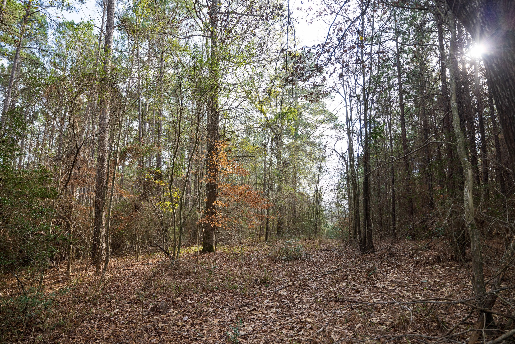 00 County Road 1247 Center TX 75935