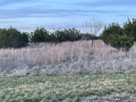 107 Gilmore Court Lipan TX 76462