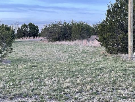 107 Gilmore Court Lipan TX 76462