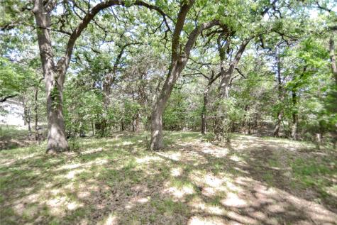 11991 Fm 901 Sadler TX 76264
