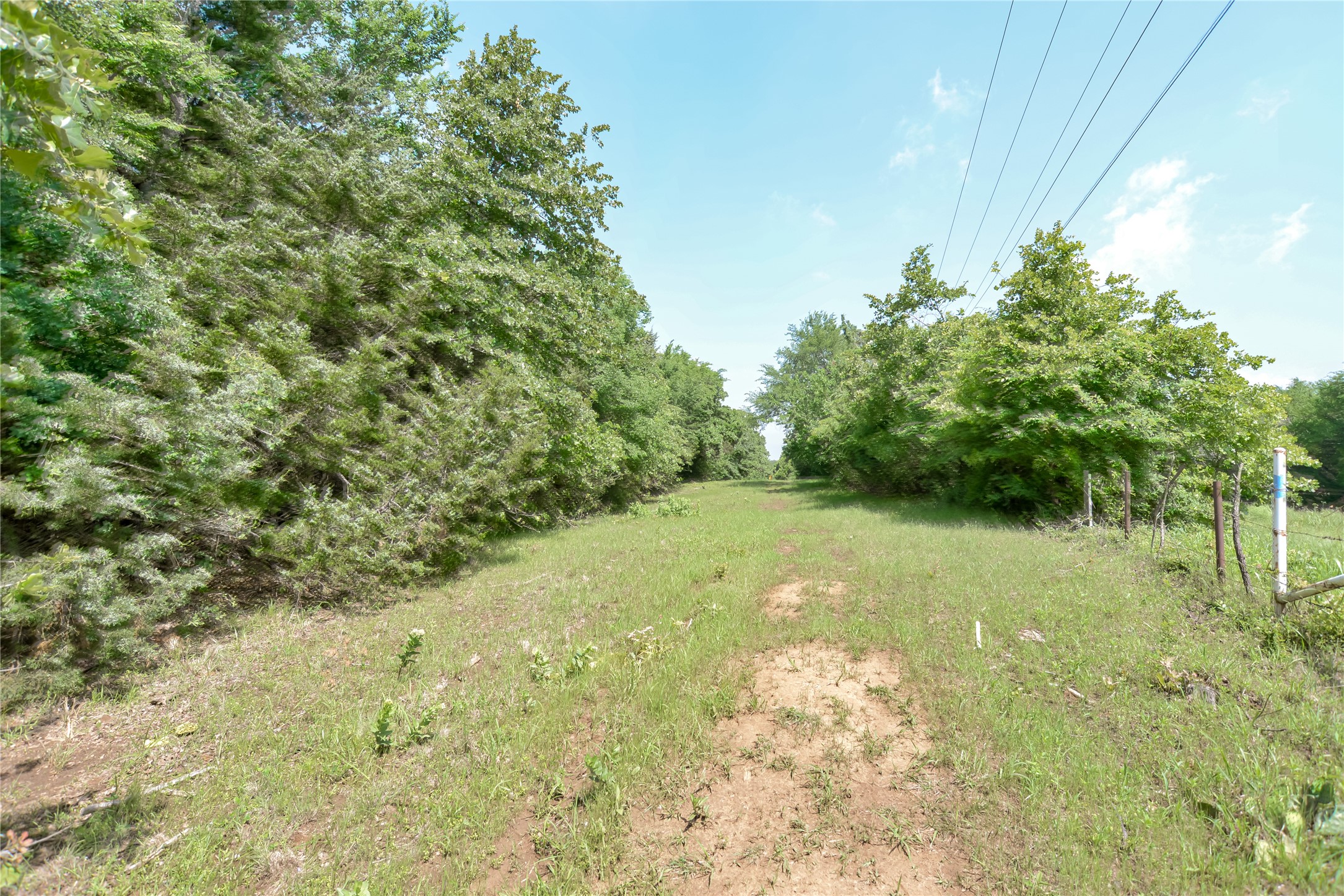 11991 Fm 901 Sadler TX 76264