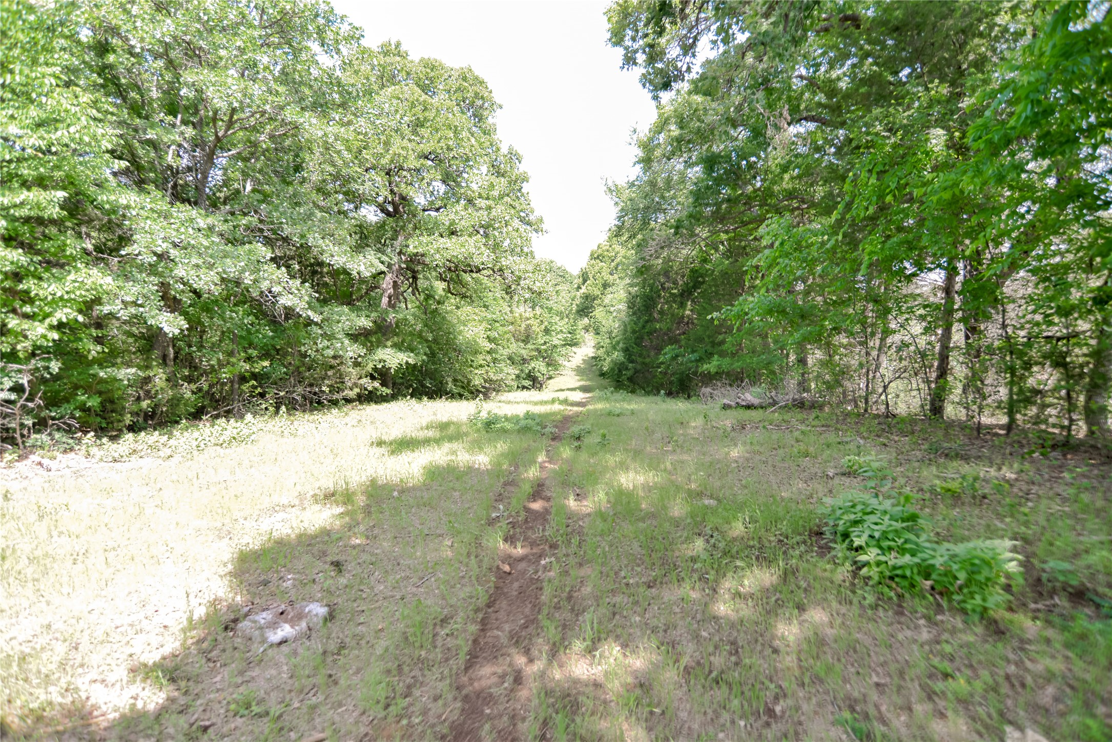 11991 Fm 901 Sadler TX 76264