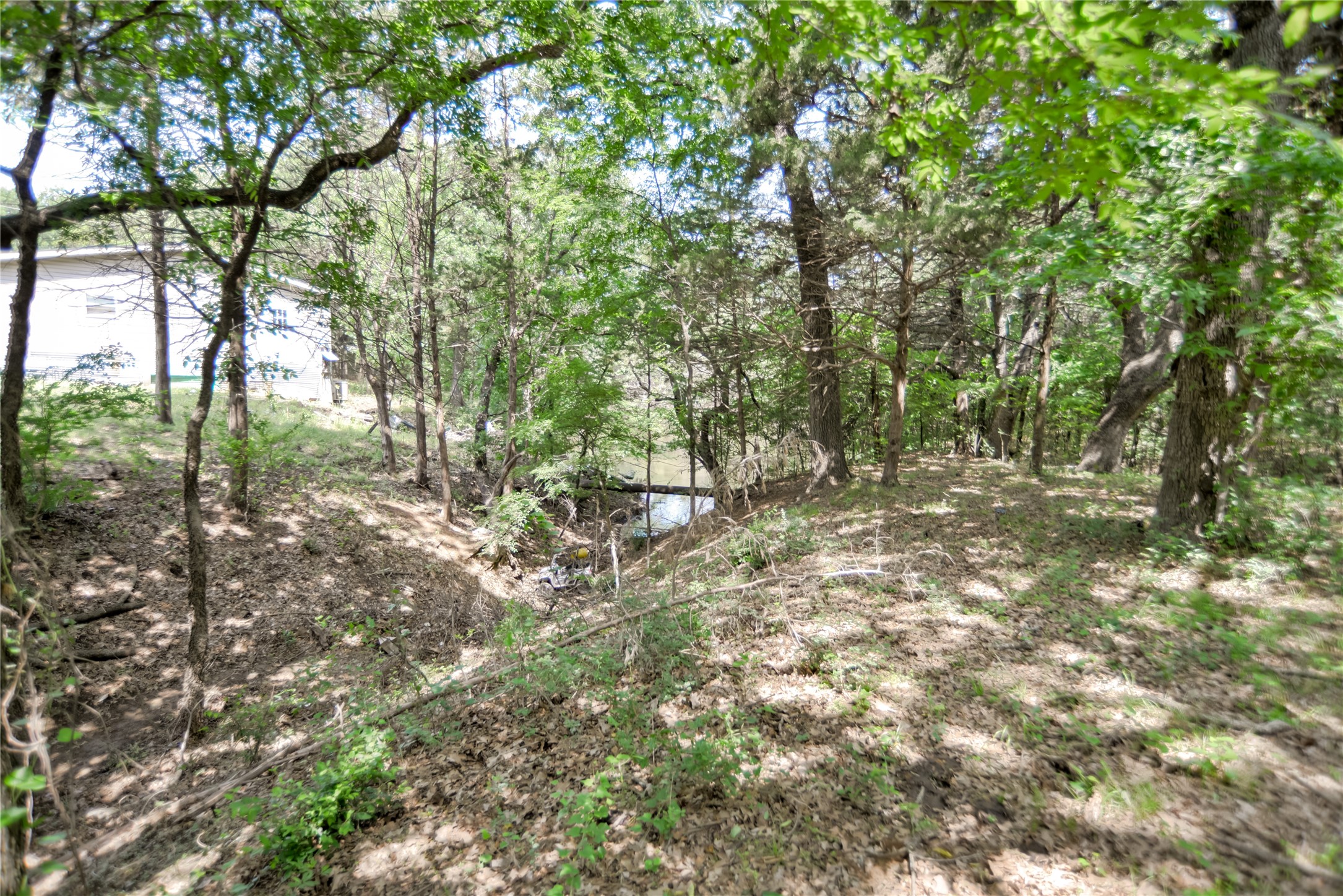 11991 Fm 901 Sadler TX 76264