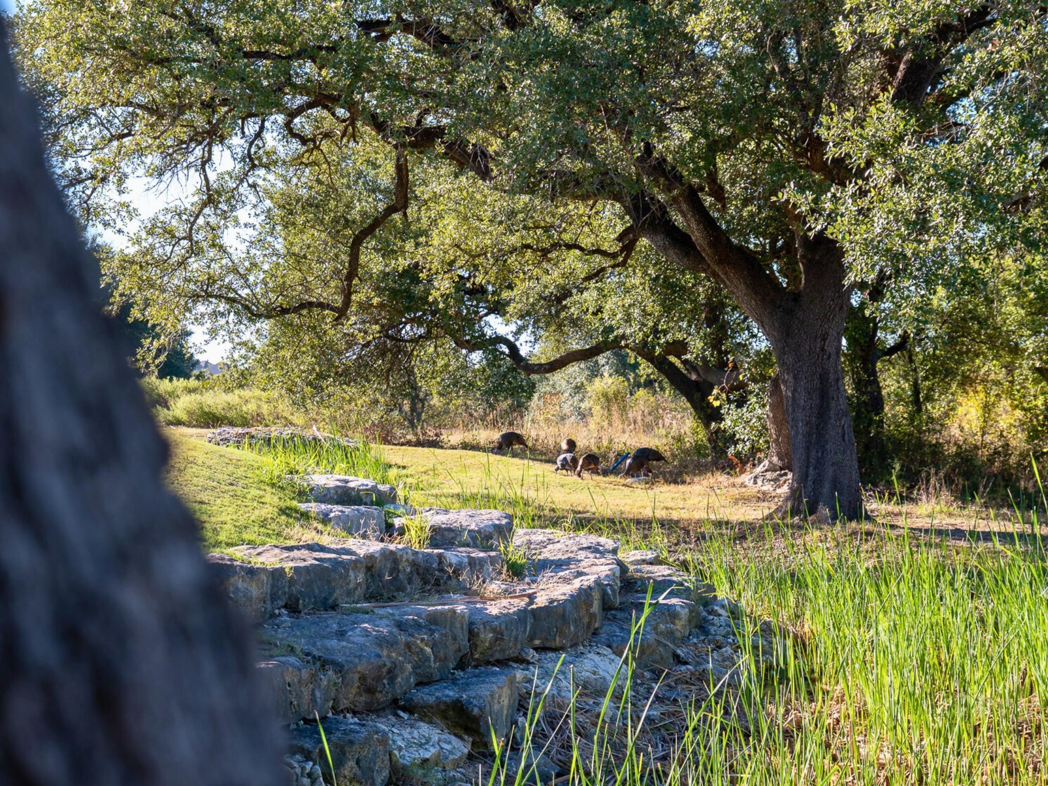 8412 Forest Lake Loop Cleburne TX 76093