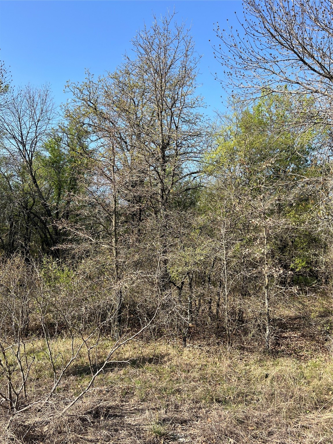 0000 Lanai Court Runaway Bay TX 76426