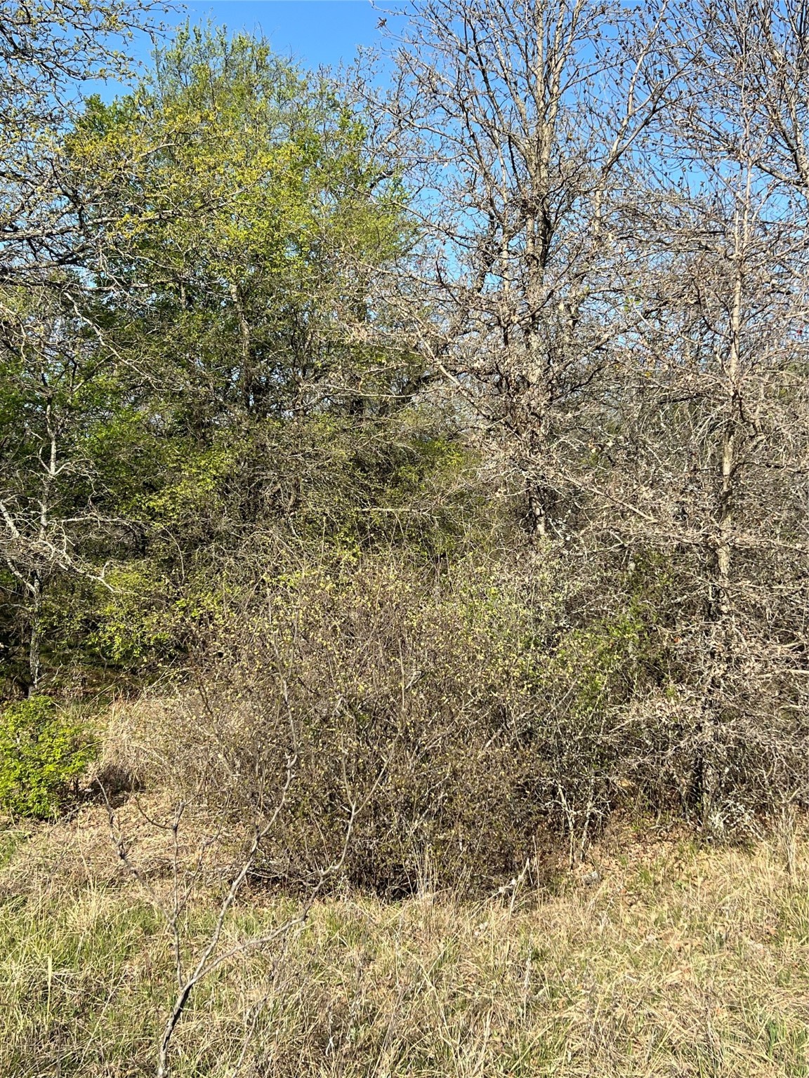 0000 Lanai Court Runaway Bay TX 76426