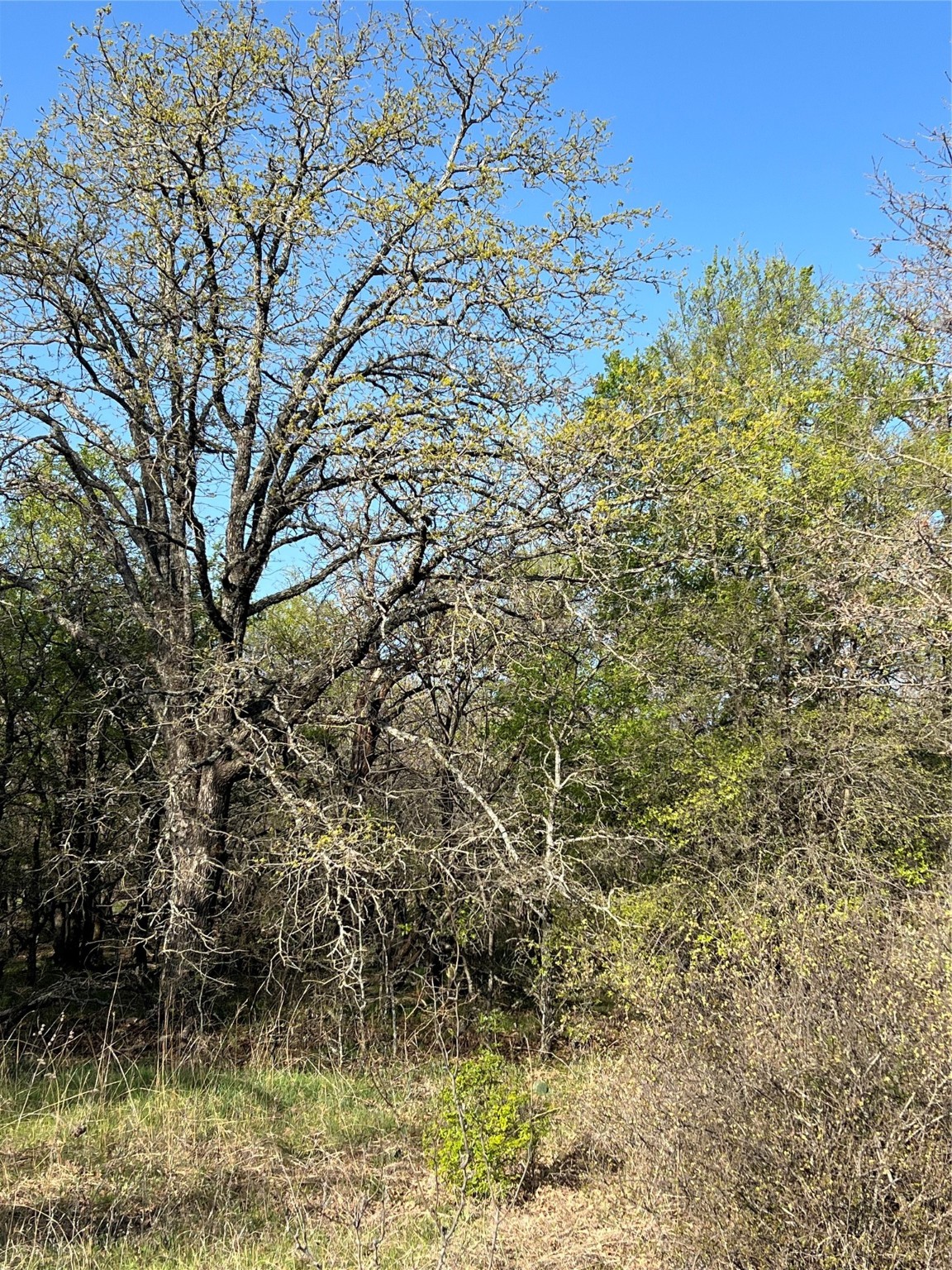 0000 Lanai Court Runaway Bay TX 76426