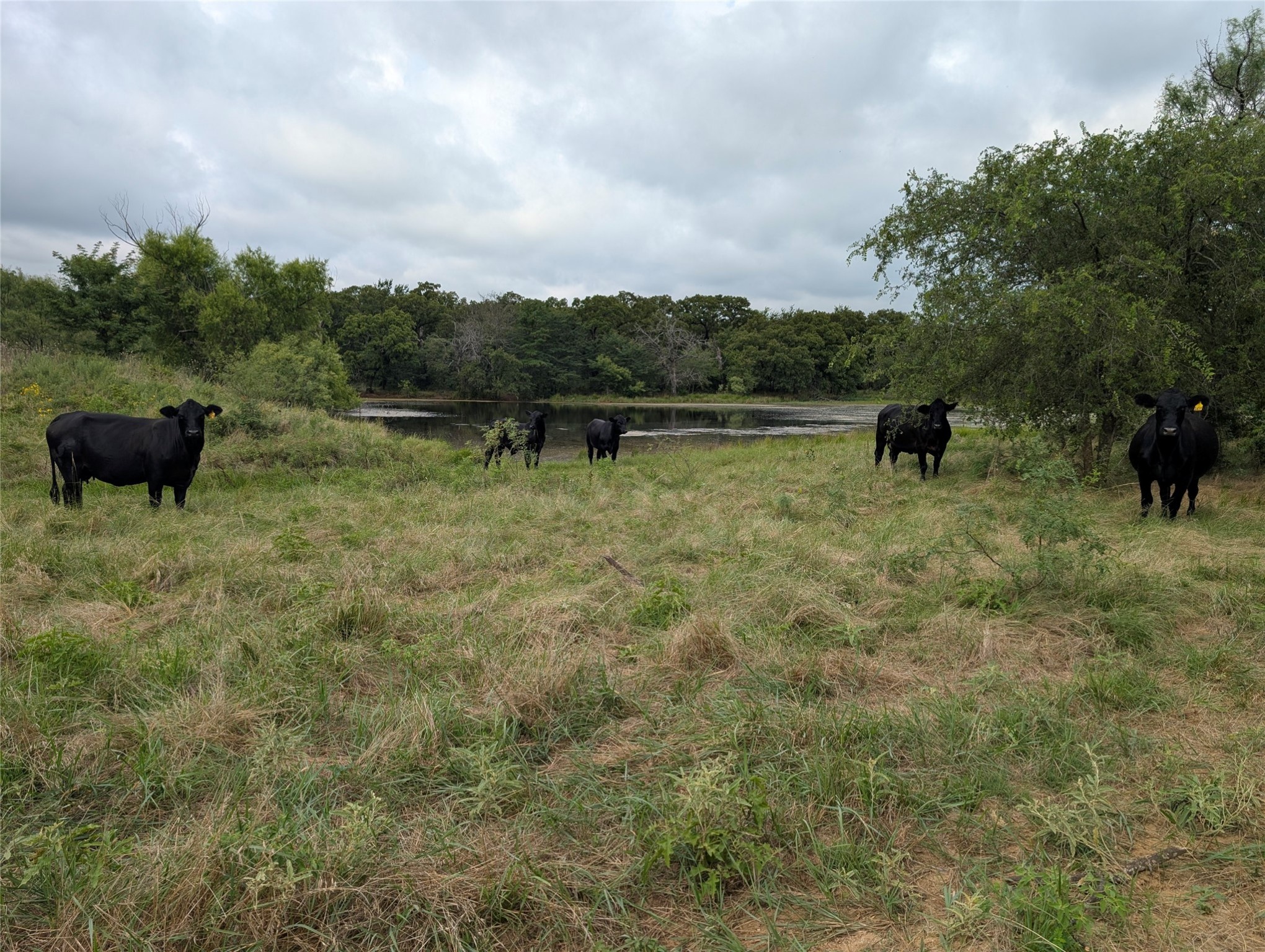 5627 Fm 2127 Bowie TX 76230