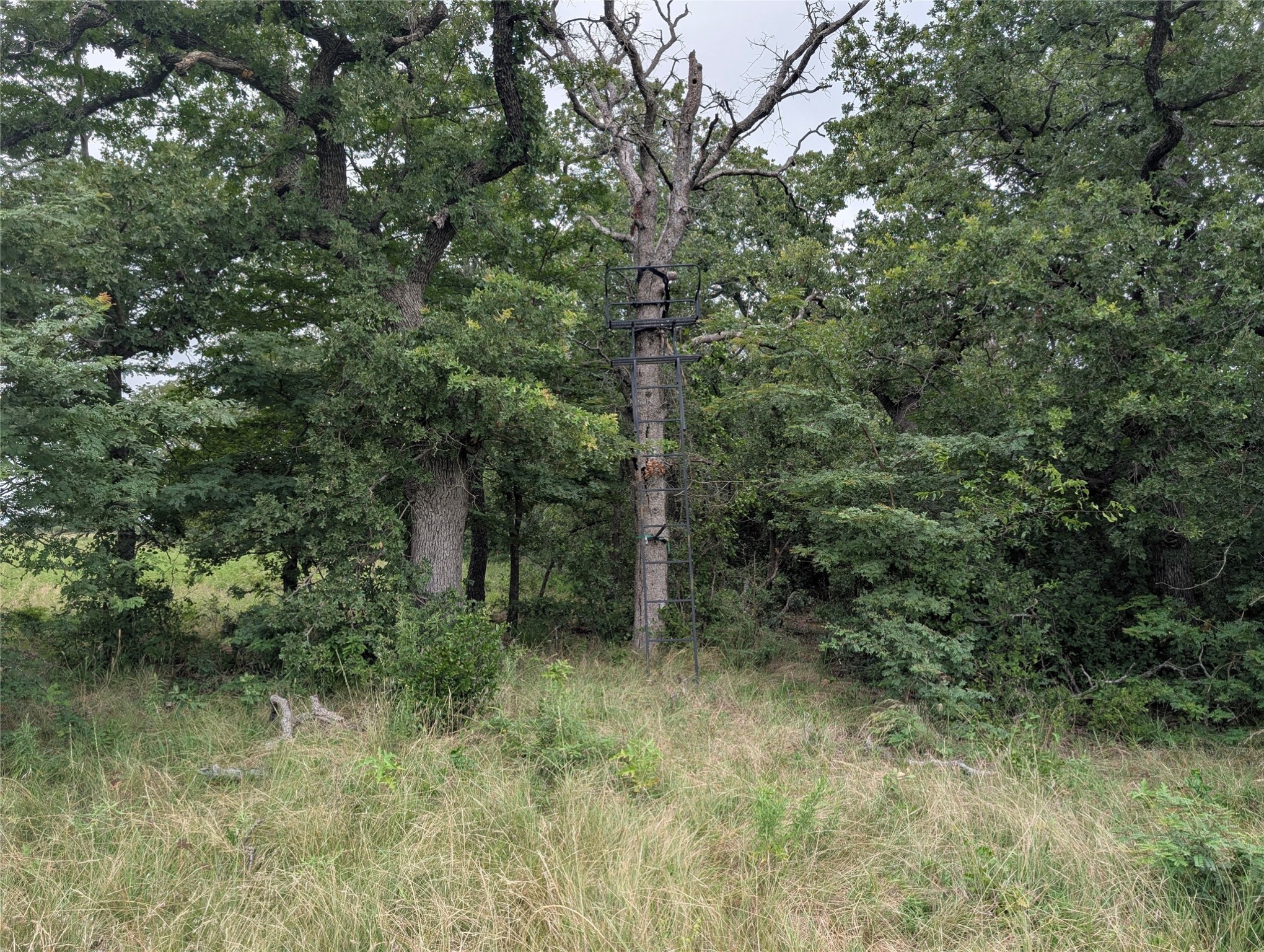 5627 Fm 2127 Bowie TX 76230
