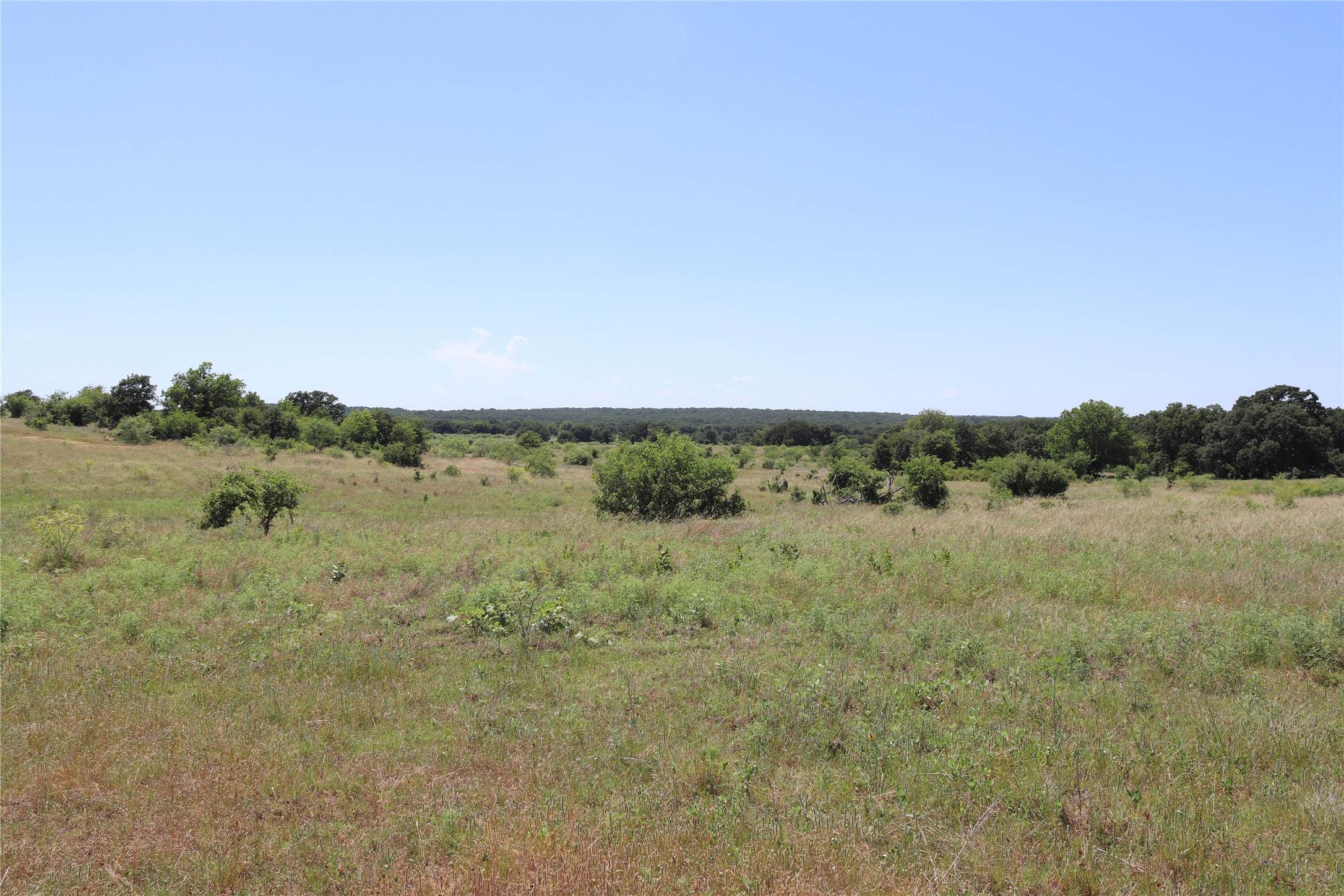 1878 Feed Road Bellevue TX 76228