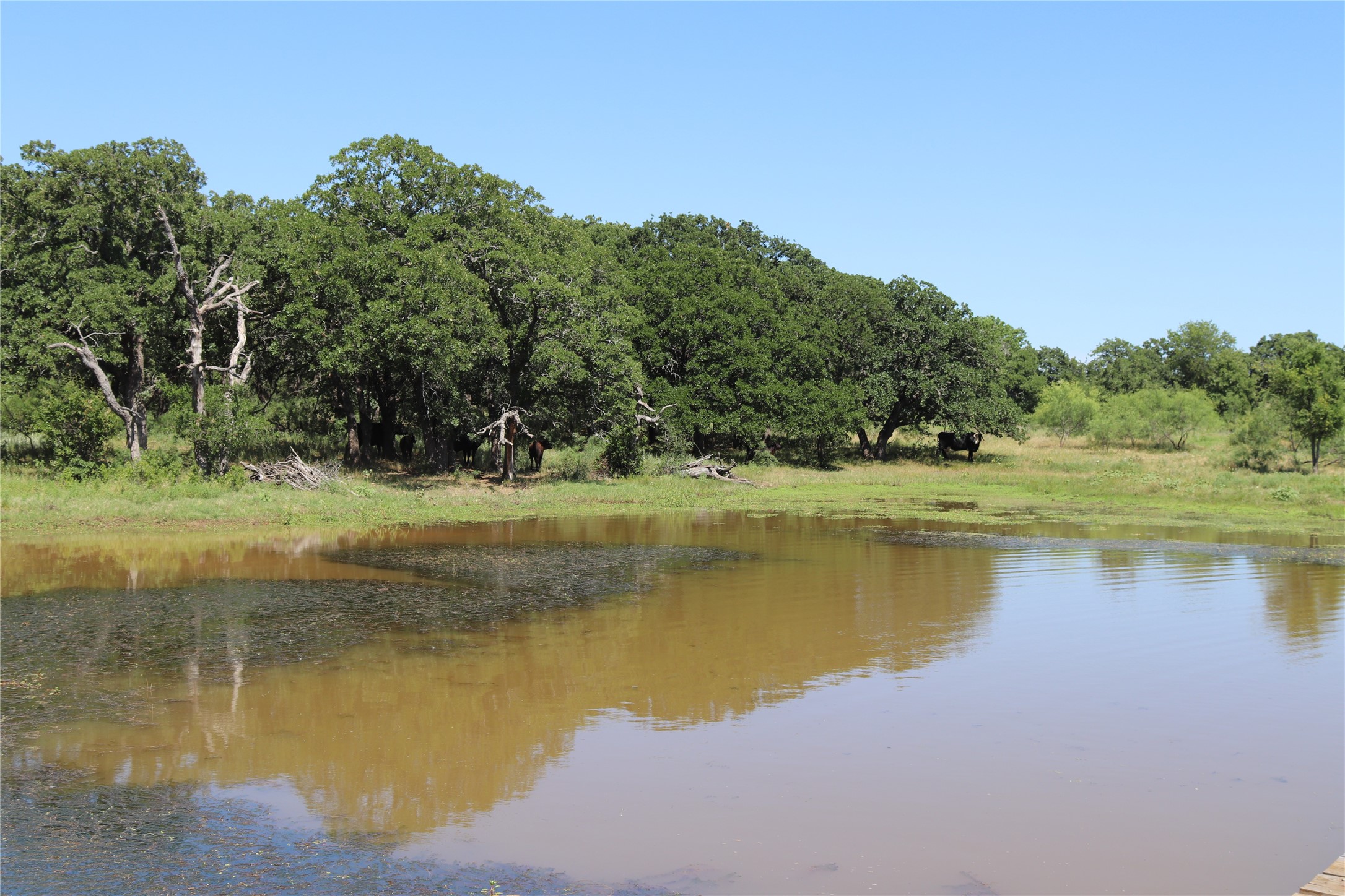 1878 Feed Road Bellevue TX 76228