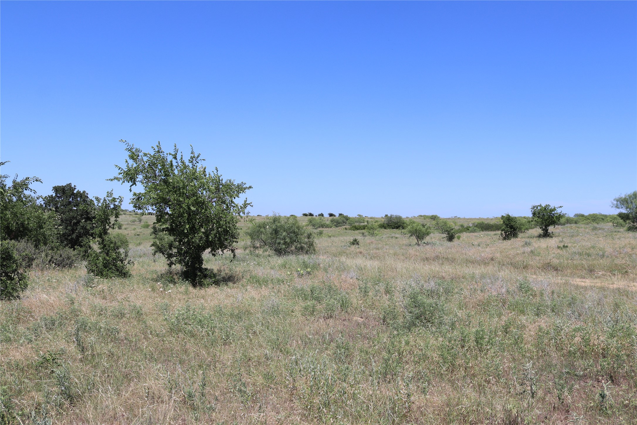 1878 Feed Road Bellevue TX 76228