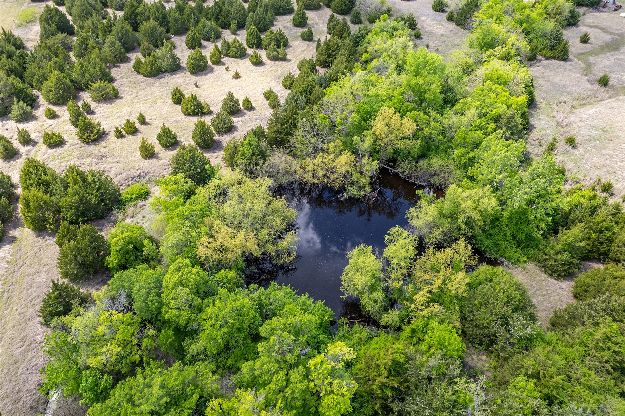 5228 County Road 599 Farmersville TX 75442