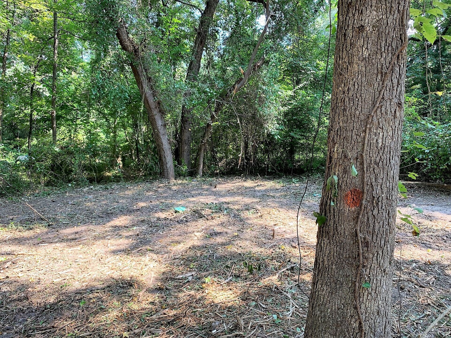 201 Young Street Bullard TX 75757