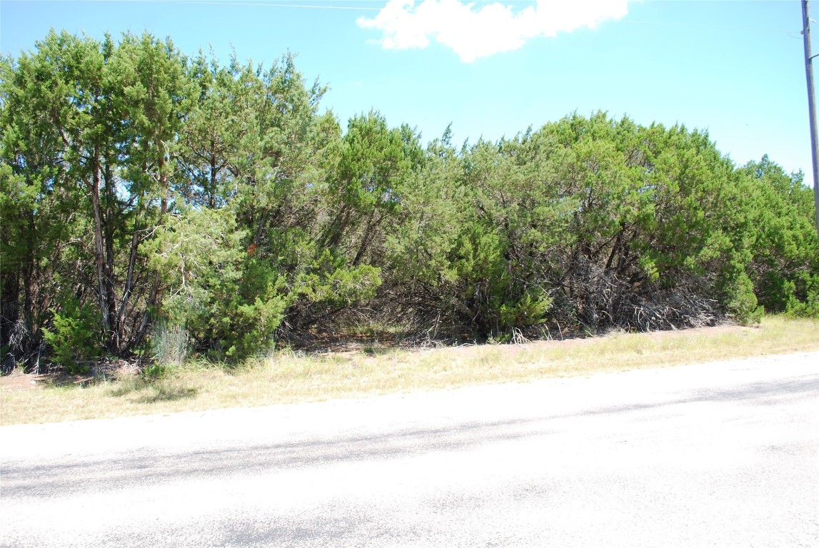 8183 Cedar Crest Drive Whitney TX 76692