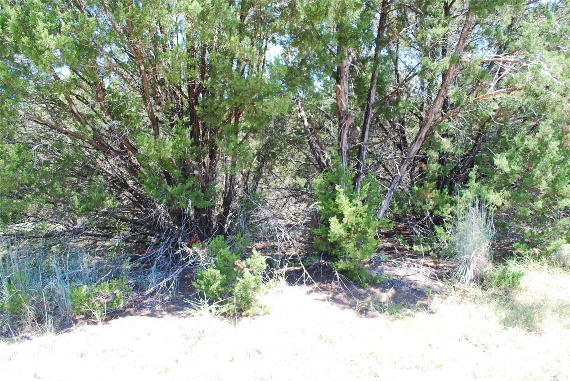 8183 Cedar Crest Drive Whitney TX 76692