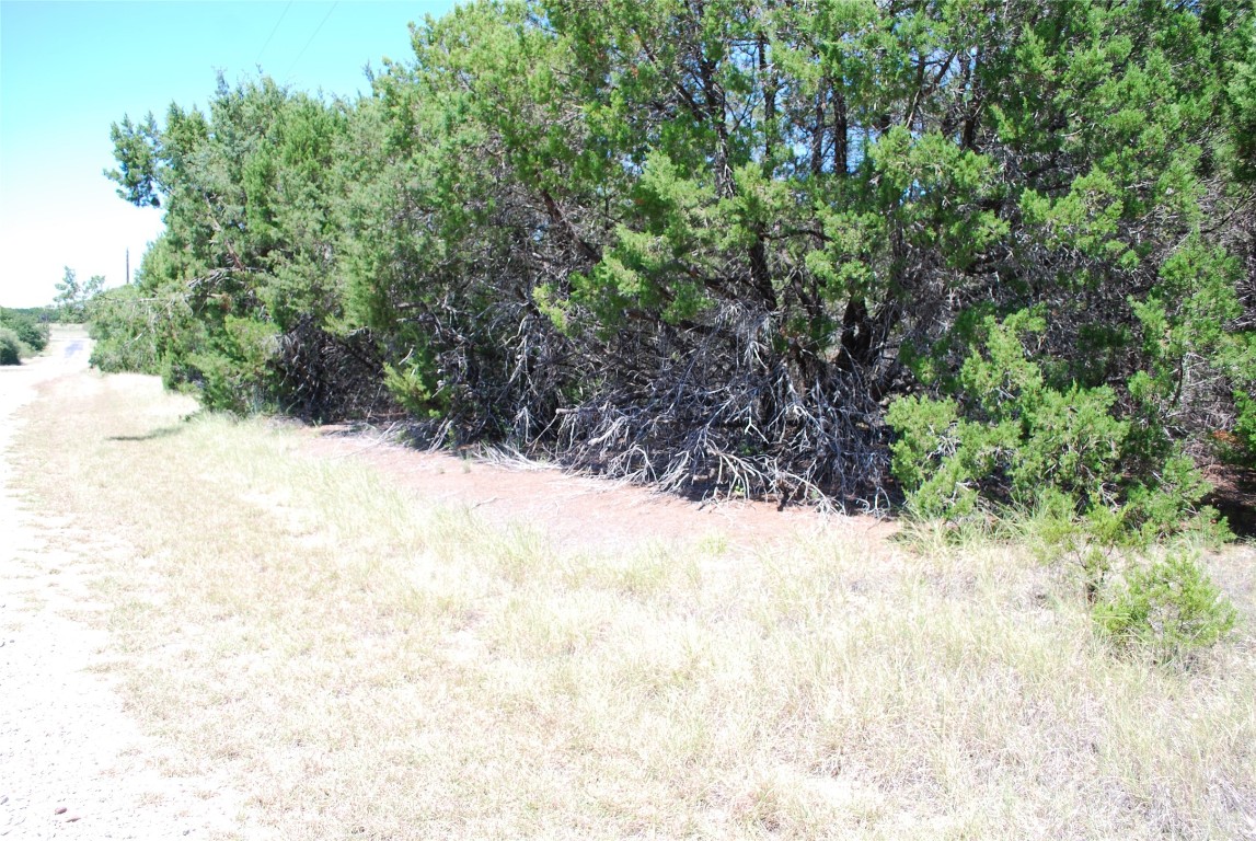 8183 Cedar Crest Drive Whitney TX 76692