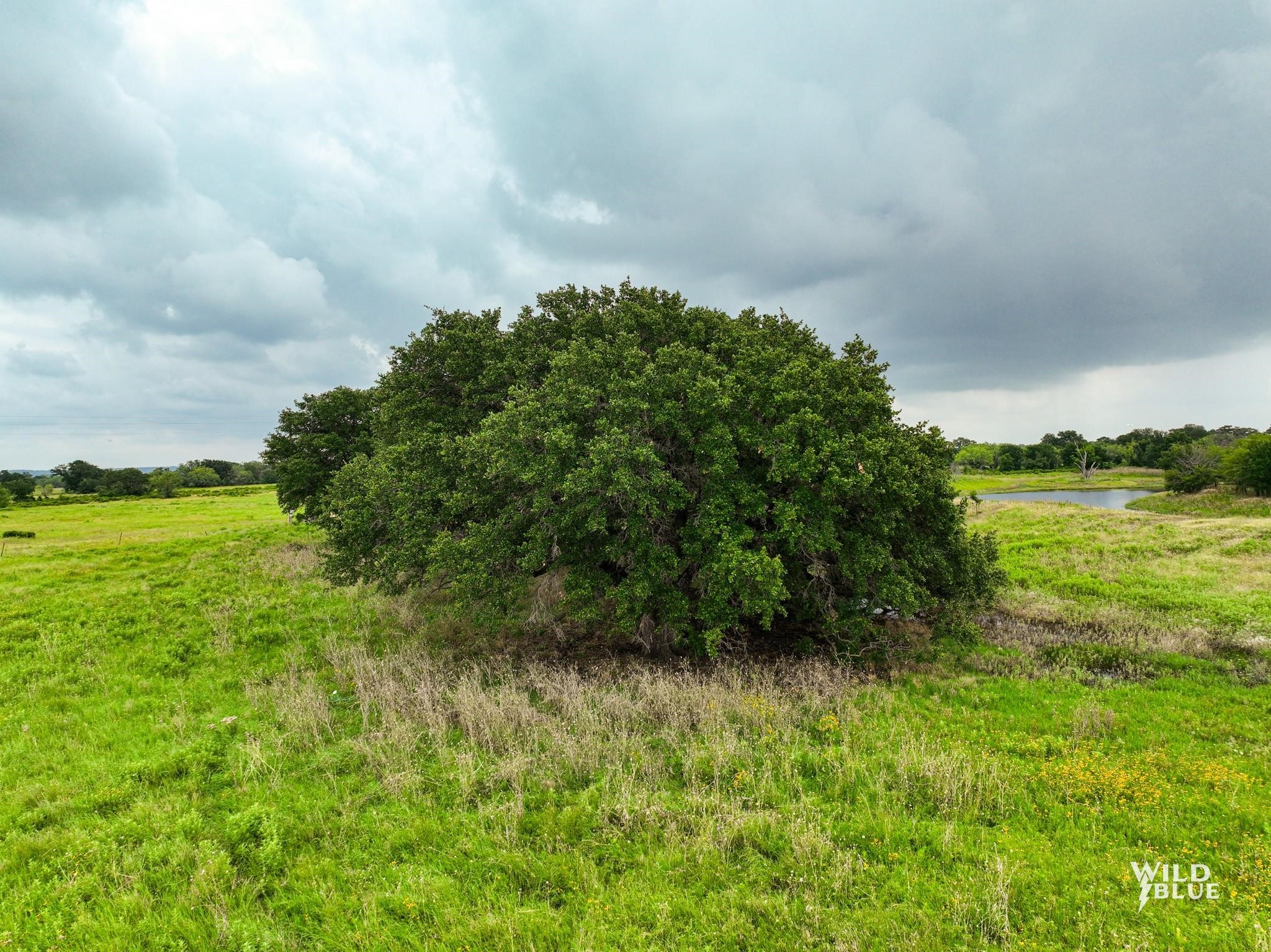 Lot 21 Canyon Ranch Road Palo Pinto TX 76484