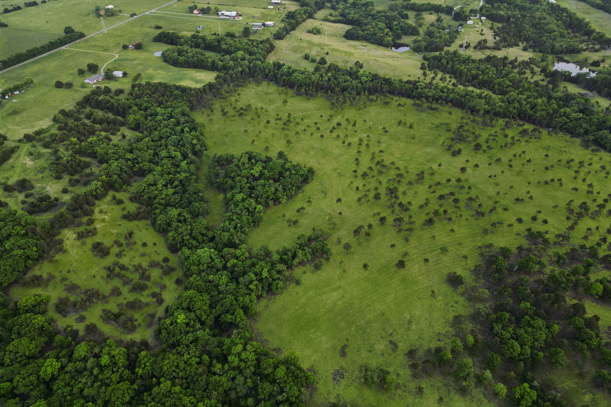 Tbd Ward Neal Road Bells TX 75414
