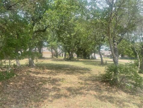 1027 Dominion Oaks Drive China Spring TX 76633