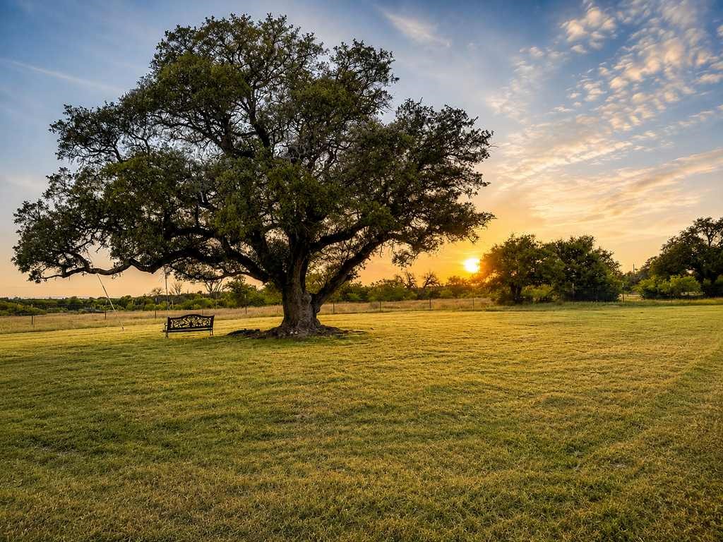 Tbd County Road 96 Purmela TX 76566