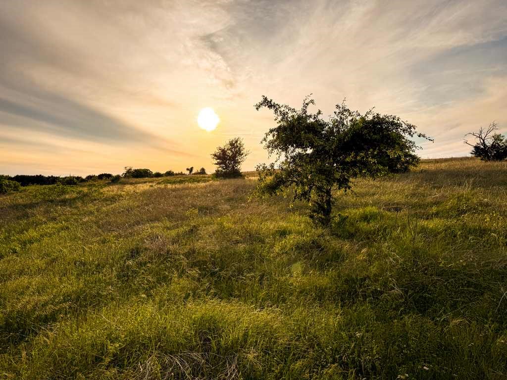 Tbd County Road 96 Purmela TX 76566